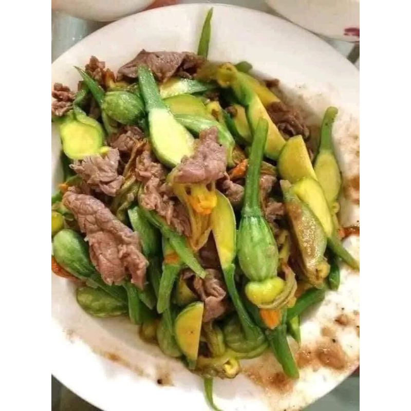 Hạt Giống Bí Siêu Nụ, Siêu Ngọn Thái❤️ Hàng Xịn Cực Kỳ Chất Lượng Dễ Trồng Ăn Ngon