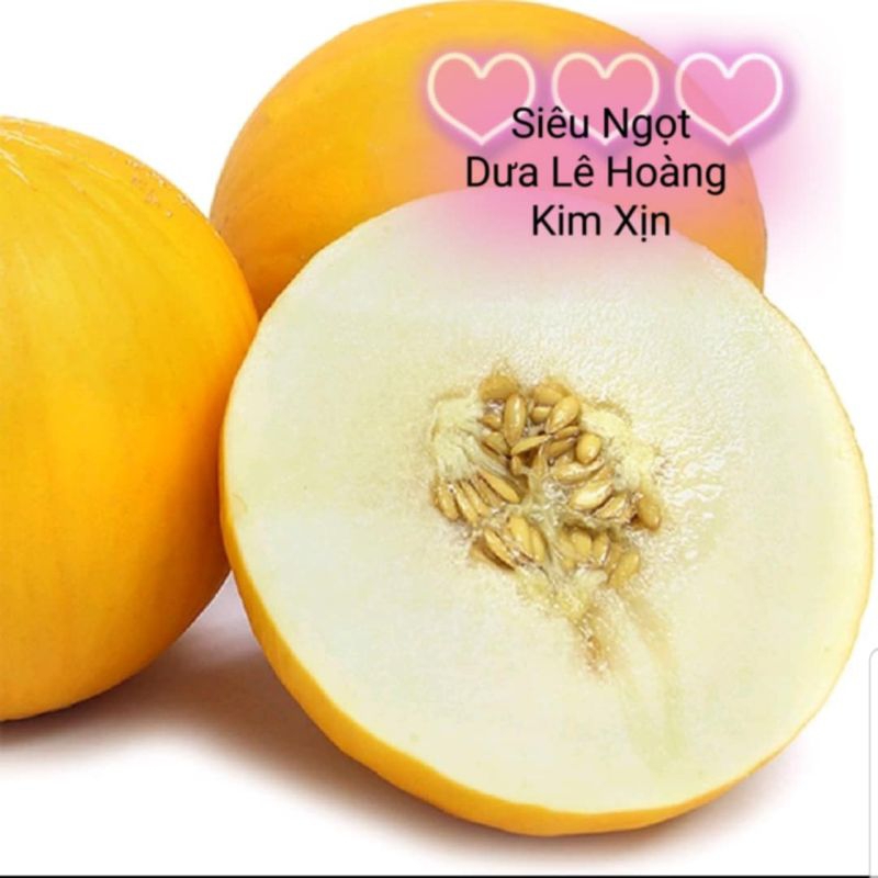 Hạt Giống Dưa Lê Hoàng Kim🍀 Hàng Xịn❤️ Siêu Ngọt Cực Kỳ Chất Lượng