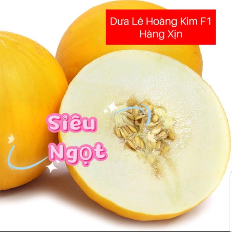 Hạt Giống Dưa Lê Hoàng Kim🍀 Hàng Xịn❤️ Siêu Ngọt Cực Kỳ Chất Lượng