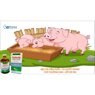 Thuốc thú y FLODOX INJ chai 100ml trị hô hấp hen khẹc suyễn trên chó mèo dê bò gia câm VB Pharma