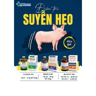 Thuốc thú y FLODOX INJ chai 100ml trị hô hấp hen khẹc suyễn trên chó mèo dê bò gia câm VB Pharma