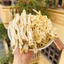 Cát cánh khô 100g, củ cát cánh, hỗ trợ giảm ho, đau họng, tiêu đờm, bổ phế - Tiệm lãn ông