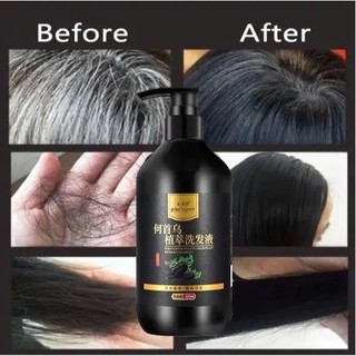 Dầu gội thường trực thực vật đen tự nhiên thảo dược hữu cơ tinh chất cho Nam Nữ 300ml