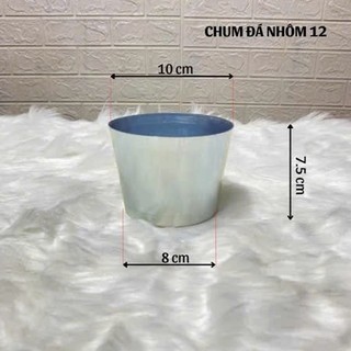 3c Ly làm đá nhôm bỏ tủ lạnh tủ đông (size từ 8cm đến 12 cm) - Trường An VN