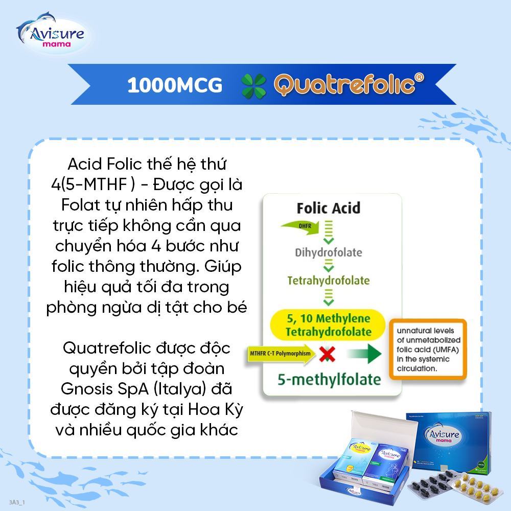 Ảnh Bộ đôi Canxi Hical và Vitamin tổng hợp Avisure Mama đủ sắt, canxi, DHA cho bà bầu, sau sinh 120 viên 2