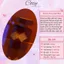 Nước hoa unisex Initio Parfums Prives Side Effect Chiết 5ml/10ml Hương thơm Ngọt ngào - Cozy Perfume