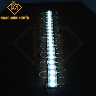 (Có sẵn) Giá 1 vỉ 20 bóng đèn LED mắt trâu, LED rọi - 12V siêu sáng, ánh sáng trắng, vàng, đỏ, xanh lá, xanh dương