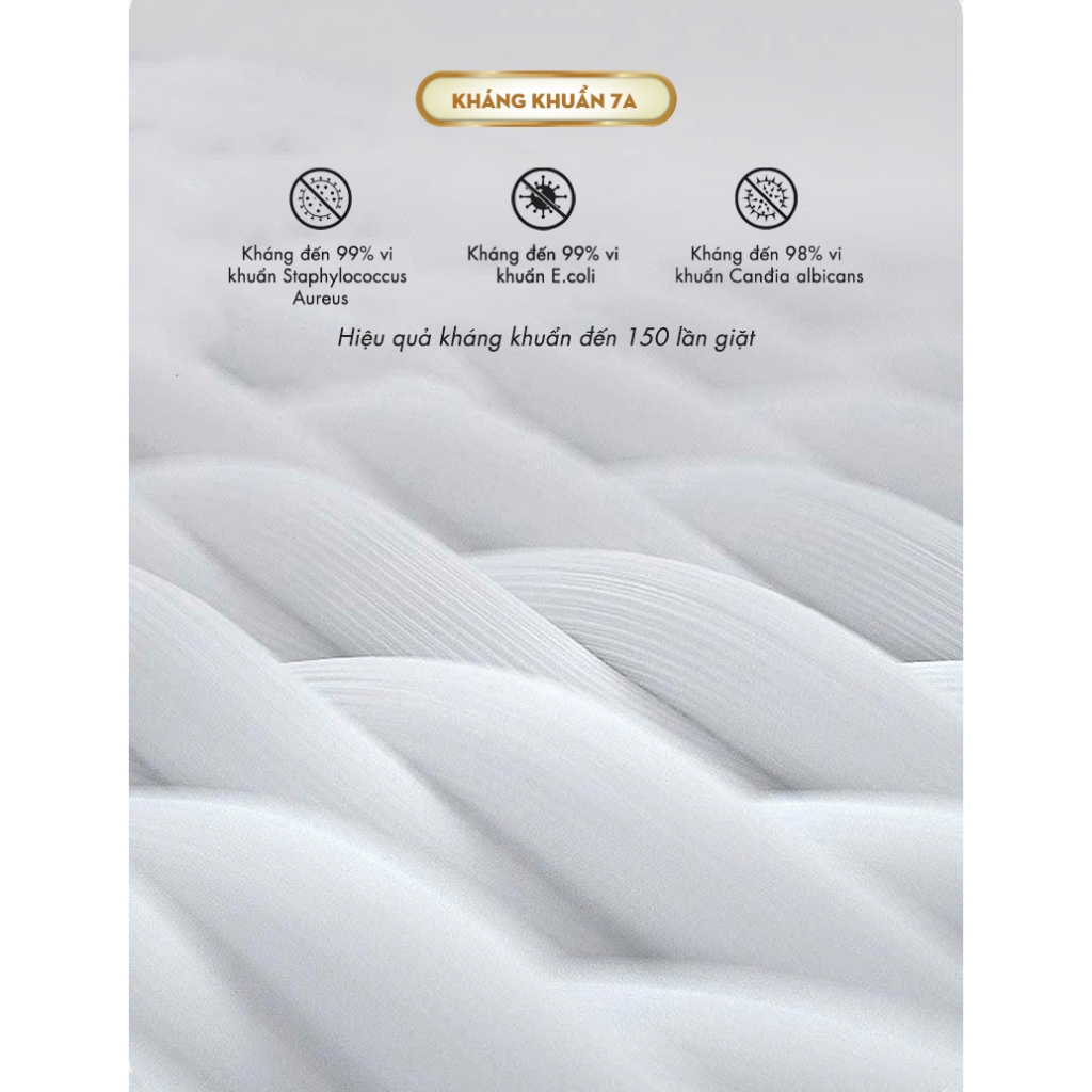 Tất vớ nam nử cổ ngắn chất liệu cotton công nghệ giảm mùi hôi, 1 hộp 5 đôi cao cấp - Ekiu Shop