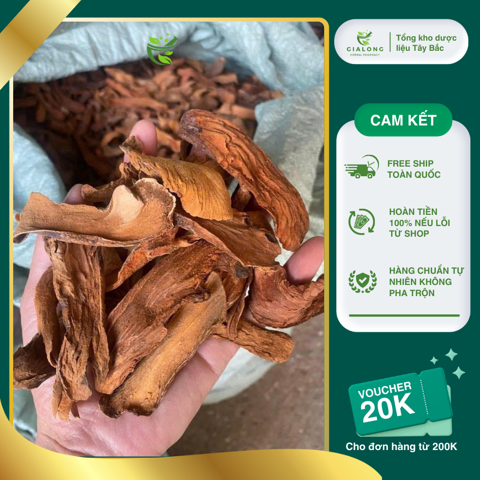 Cốt Toái Bổ (Tắc Kè Đá) sấy khô loại 1 sạch 1kg
