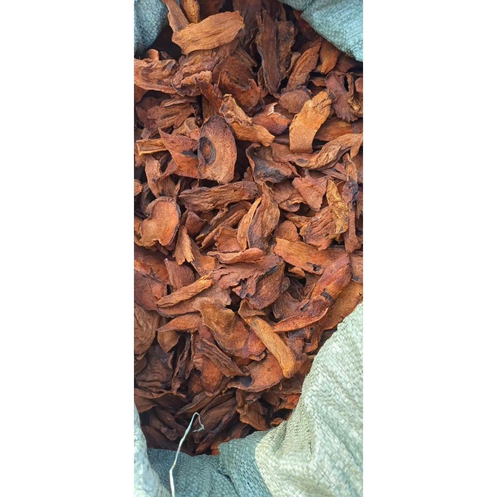 Cốt Toái Bổ (Tắc Kè Đá) sấy khô loại 1 sạch 1kg