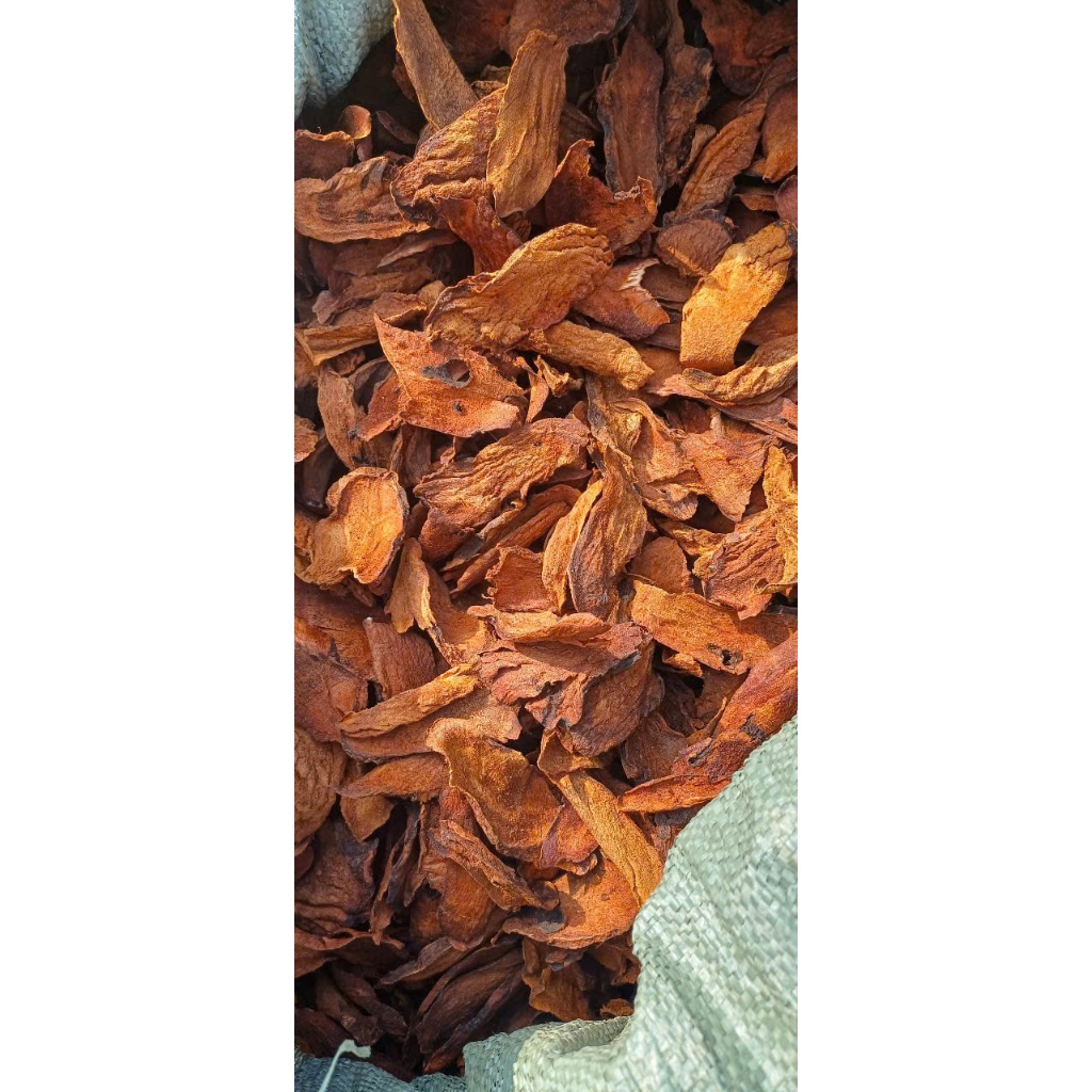Cốt Toái Bổ (Tắc Kè Đá) sấy khô loại 1 sạch 1kg