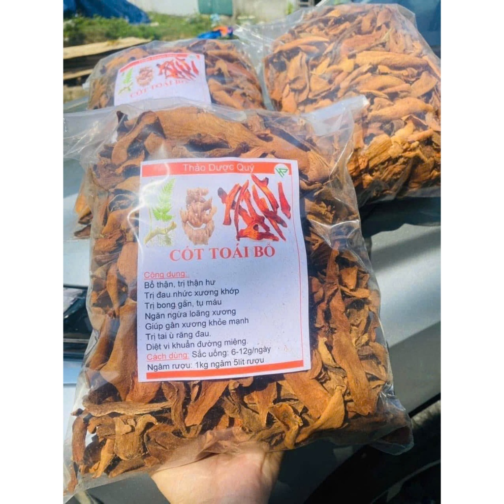 Cốt Toái Bổ (Tắc Kè Đá) sấy khô loại 1 sạch 1kg