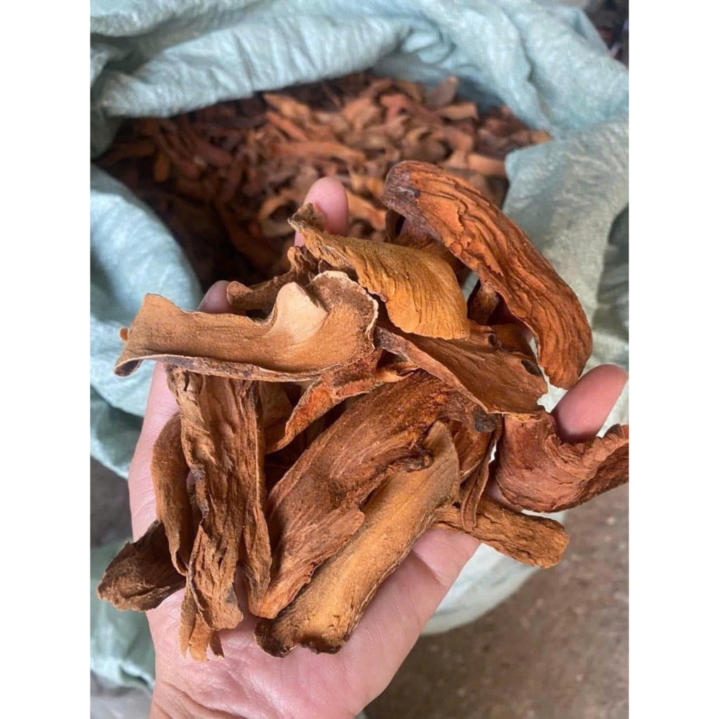 Cốt Toái Bổ (Tắc Kè Đá) sấy khô loại 1 sạch 1kg
