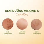 Bộ đôi serum kem dưỡng Vitamin C dưỡng sáng da mờ thâm nám tàn nhang từ trái Sơ-ri Cỏ Mềm — ảnh 6