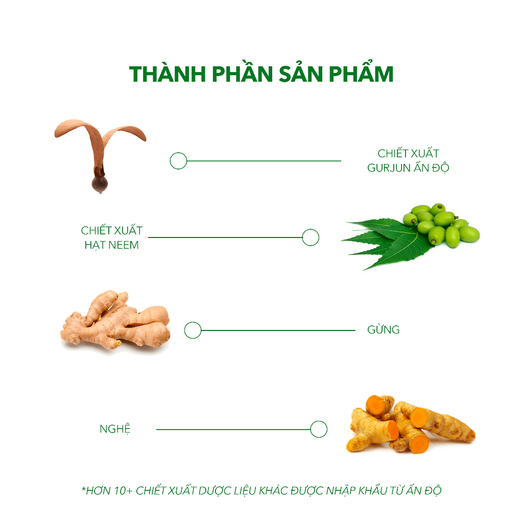 Ảnh Combo Sản Phẩm Ezema 50 & Dầu Gội Sạch Gàu Antisol | Thương Hiệu iCare Pharma | Hỗ Trợ Trị Gàu Ngứa, Nấm Da Đầu Lâu Năm 2