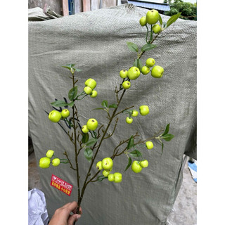 cành táo cherry rừng 1m ,hàng thân xanh