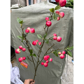 cành táo cherry rừng 1m ,hàng thân xanh