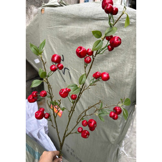 cành táo cherry rừng 1m ,hàng thân xanh