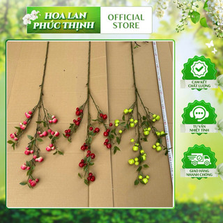cành táo cherry rừng 1m ,hàng thân xanh