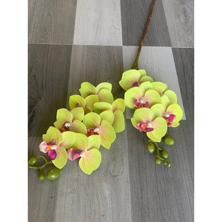 tiểu hồ điệp 12bông to cao su, 60cm hàng cao cấp