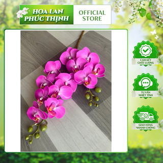 tiểu hồ điệp 12bông to cao su, 60cm hàng cao cấp