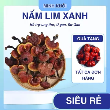 500g Nấm Lim Xanh rừng tự nhiên Tốt Cho Sức Khỏe Loại Chuẩn