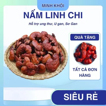 Nấm Linh Chi Đỏ Cao Cấp,Nấm linh chi rừng đỏ khô Tây Bắc thu hái, phơi khô tự nhiên