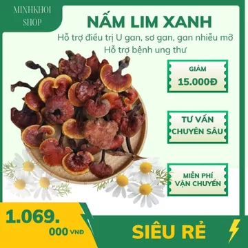 1Kg Nấm Lim Xanh Tây Bắc , Chuẩn Nấm Lim Xanh thơm, đẹp loại 1
