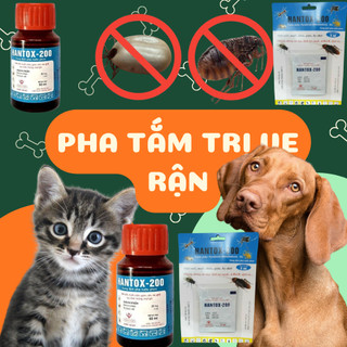 Gói pha tắm trị ve rận chó mèo