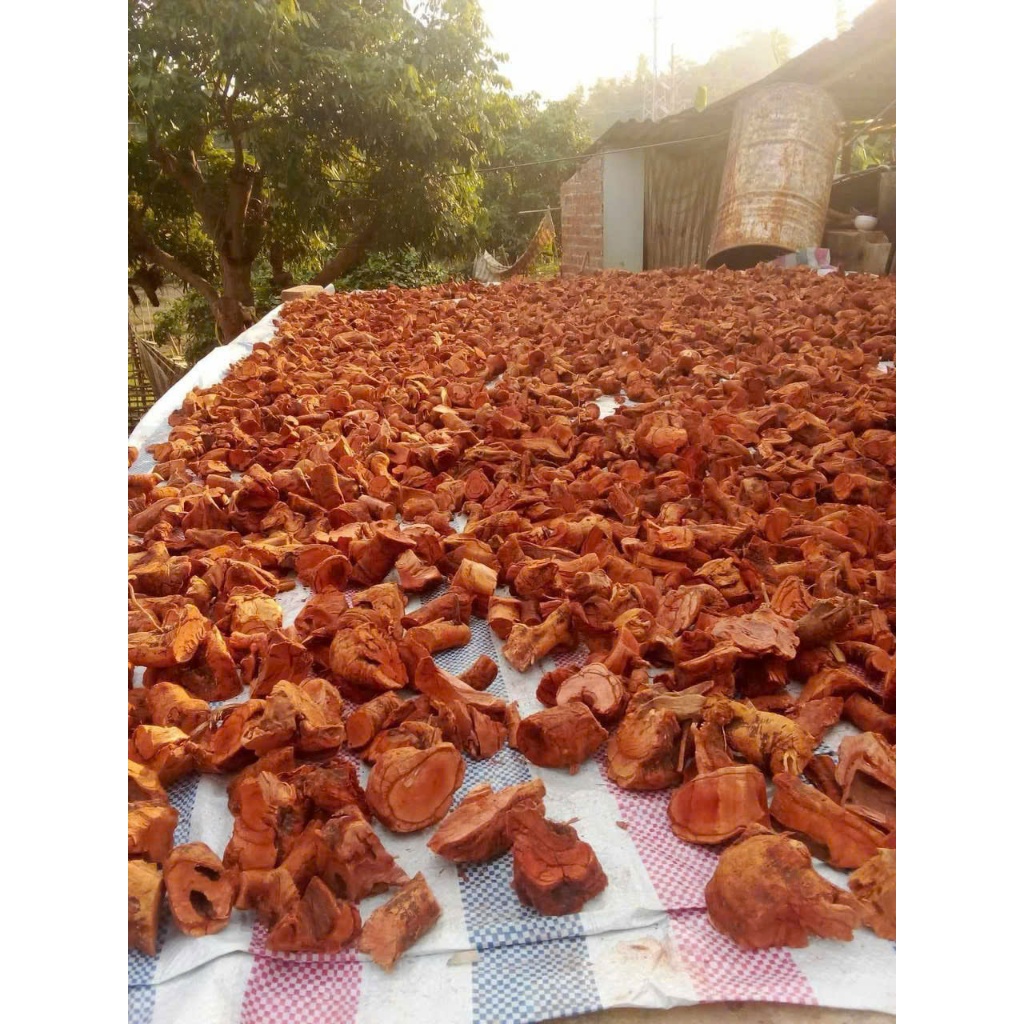 Rễ mú từn 100% rễ loại 1 tăng cường sức khoẻ nam giới [1kg]