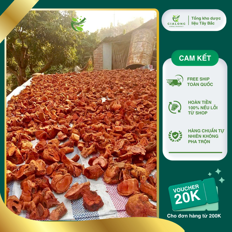 Rễ mú từn 100% rễ loại 1 tăng cường sức khoẻ nam giới [1kg]