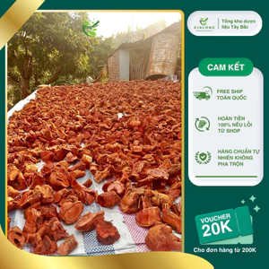 Rễ mú từn 100% rễ loại 1 tăng cường sức khoẻ nam giới [1kg]