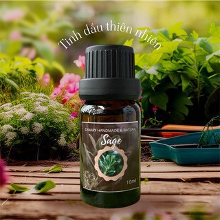 Tinh Dầu Hỗ Trợ Cảm Xúc Aphrodisiac Scent Stimulating Excitement