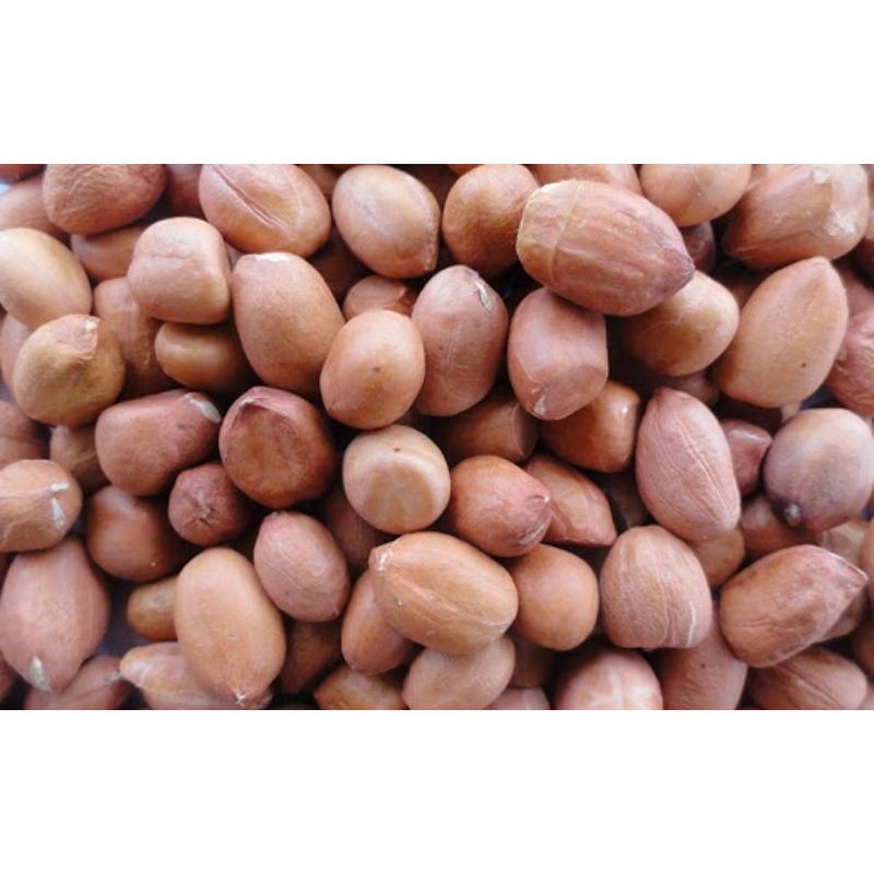 [SỈ] 10KG ĐẬU PHỘNG SỐNG / ĐỖ LẠC SỐNG _ ĐẬU PHỘNG RANG/ ĐÕ LẠC RANG - đậu phộng giá sỉ _  nông sản giá sỉ - Đậu ngon