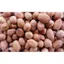 10KG ĐẬU PHỘNG SỐNG / ĐỖ LẠC SỐNG _ ĐẬU PHỘNG RANG/ ĐÕ LẠC RANG - đậu phộng giá sỉ _ nông sản giá sỉ - Đậu ngon