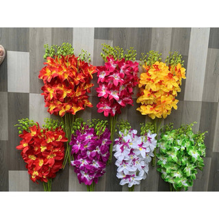 combo 10 cành denro, cành lan nữ sao vải dài 60cm