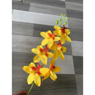 combo 10 cành denro, cành lan nữ sao vải dài 60cm