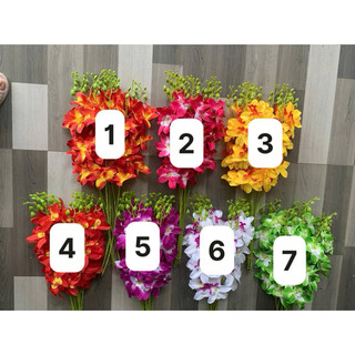 combo 10 cành denro, cành lan nữ sao vải dài 60cm