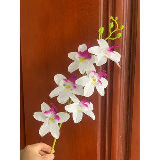 combo 10 cành denro, cành lan nữ sao vải dài 60cm