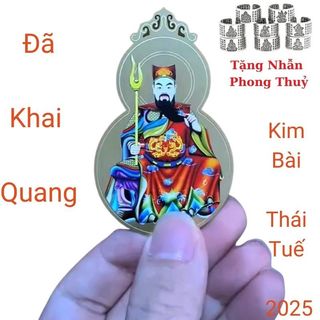 Thái Tuế Phù Bính Ngọ 2026 Hóa Giải Hạn Cho Tuổi Tý Ngọ mão SửuTặng Nhẫn Phong Thuỷ