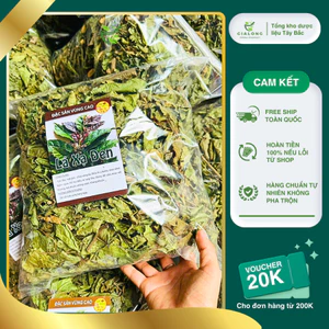 Xạ đen Hoà Bình hàng loại 1 lá đẹp, ngừa xơ gan, viêm gan,men gan cao,tiểu đường,mỡ nhiễm máu