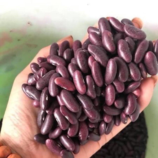 [SỈ] 10KG Đậu Đỏ Tây (Đậu Thận / Đỗ Thận) _ nông sản giá sỉ _ Đậu đỏ tây giá sỉ _ đậụ đỏ tây giá rẻ _ Giống Thuần Chủng