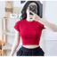 Áo Thun Croptop Trơn Basic Thun Bozip Mềm Mịn Co Dãn Cổ Tròn TUANLECLOTHING Dáng Ngắn Nhiều Màu