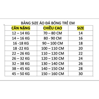 Bộ Quần.Áo Bóng Đá Trẻ Em – CLB AC, SLNA, Chelsee, Tottenham ( Vải Mè Thái )