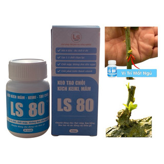 Keo kích chồi LS 80, bôi ở đâu mọc chồi ở đó, tái tạo tàn bị khuyết cho cây bon sai, hoa kiểng, mai vàng - hũ 30g