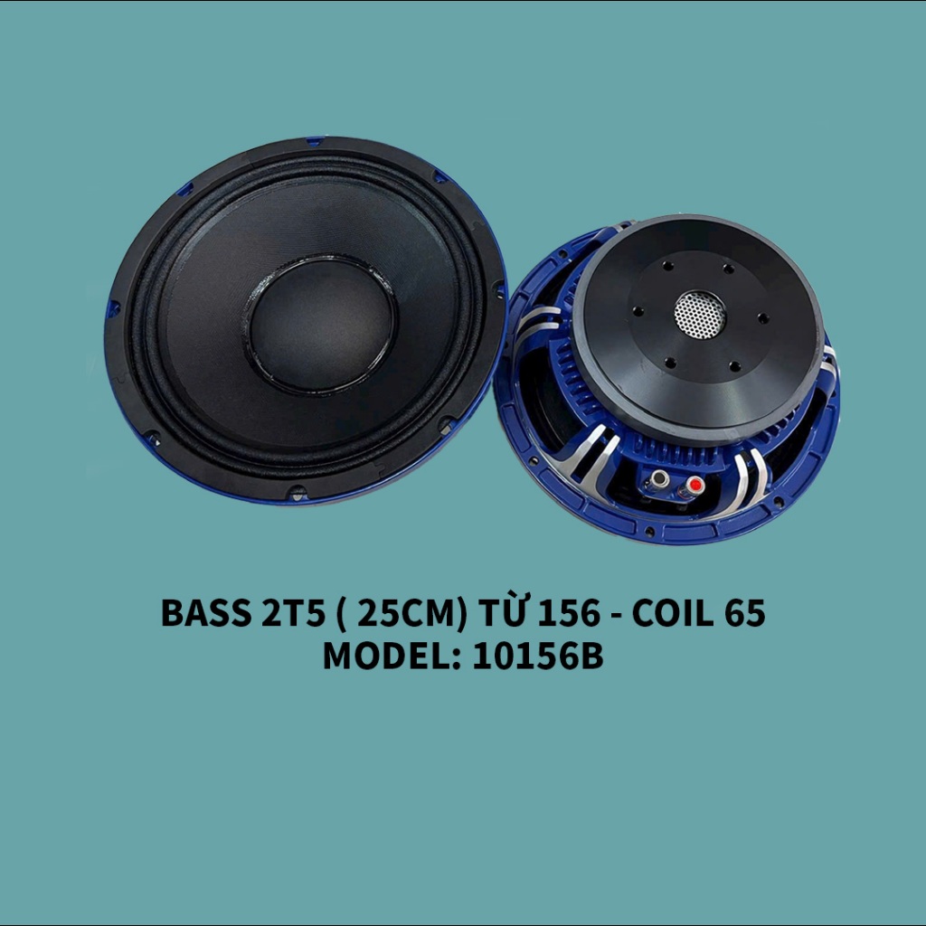Bass 25cm Nhập Khẩu từ 156 coil 65