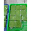 Màng nilon PP nhiều size gói chả lụa, giò thủ, jambon không bị thấm nước, quấn gỏi cuốn chống dính, hợp vệ sinh
