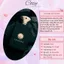 Nước hoa nam Amouage Memoir Man Chiết 5ml/10ml Hương thơm Hiện đại, Lịch lãm, Thu hút - Cozy Perfume