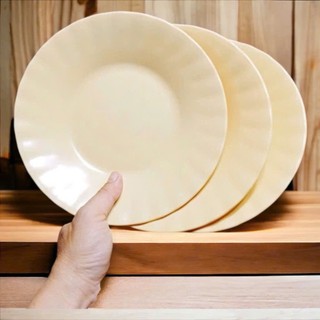 Đĩa nhựa sâu lòng nhiều màu - đĩa nhựa quán nhậu - đĩa nhựa có đủ size - Trường An VN
