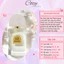 Nước hoa nữ Bò Rosario Parfum Chiết 5ml/10ml Hương thơm Lãng mạng, Thanh lịch - Cozy Perfume